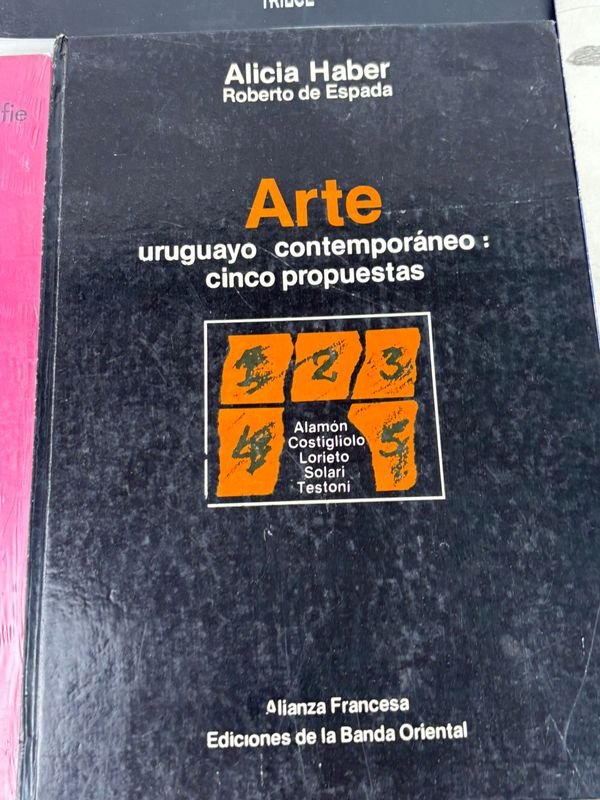 Colección de libros de arte contemporáneo y fotografía - imagen 3