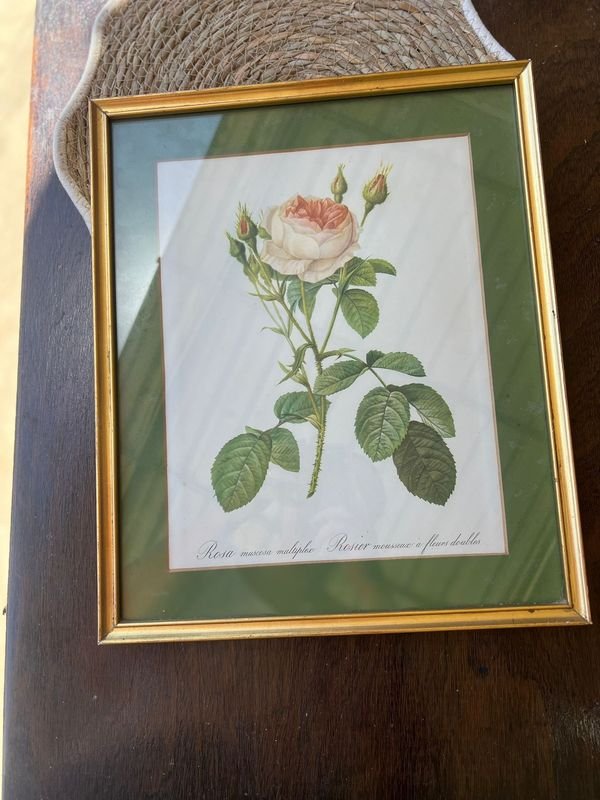 Cuadro decorativo con imagen de rosa