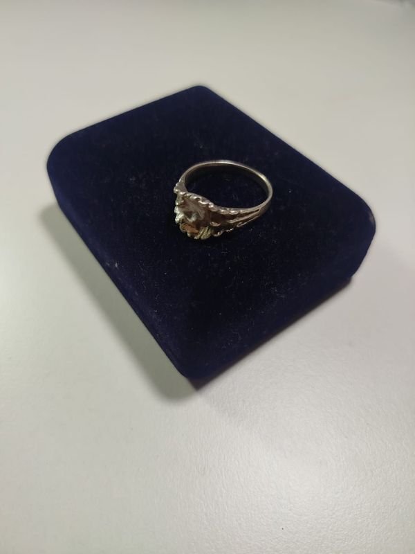 Item 856828 - Image 0