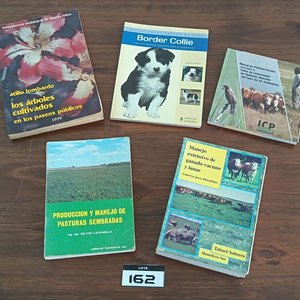 Lote anterior: Lote de 5 Libros Técnicos y de Historia: Veterinaria, Ganadería, Pasturas, Botánica y Razas
