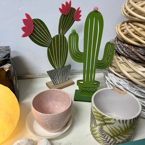 Lote Decorativo: Luna Luminosa, Cactus, Aros de Mimbre y Más - imagen 3