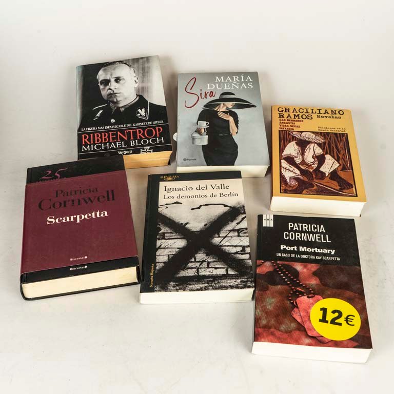 Lote de 6 Libros de Novelas Varias