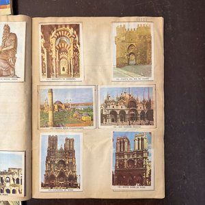 Álbumes "Vida y Color" Colección Enciclopédica Ilustrada - imagen 15