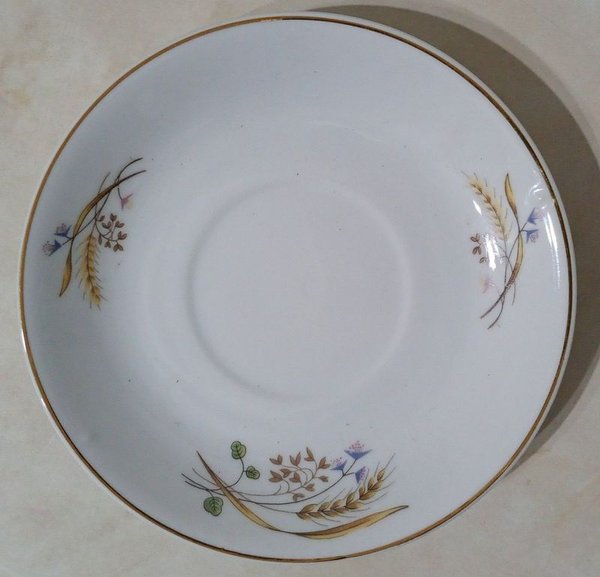 Platillo Vintage Porcelana Fina Diseño Espigas Trigo Flores Azules Bordes Dorados - imagen 1