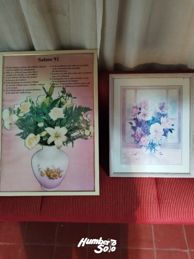 Cuadros decorativos