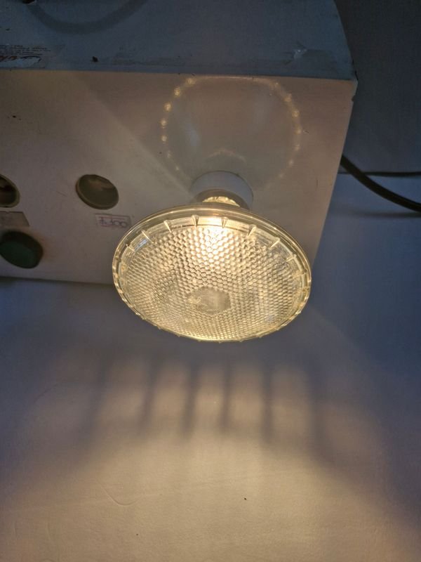 Lámpara Halógena Blanca 50W 220v - imagen 2