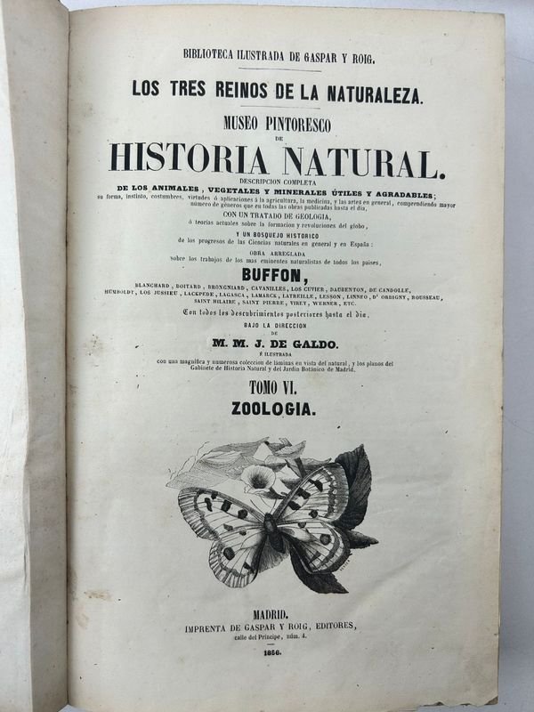 Manual técnico ilustrado de botánica aplicada - imagen 7