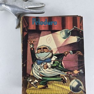 Lote siguiente: Colección de 24 Revistas Peloduro - Año 1964