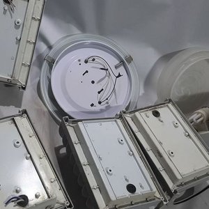 Lote de 4 Apliques de Luz Exterior y 2 Plafones - imagen 3