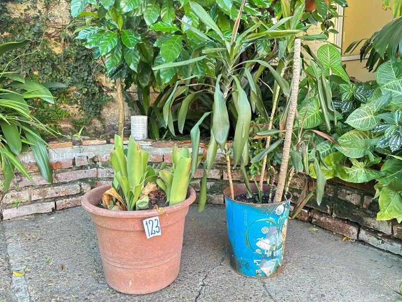 Item 892379 - Image 0