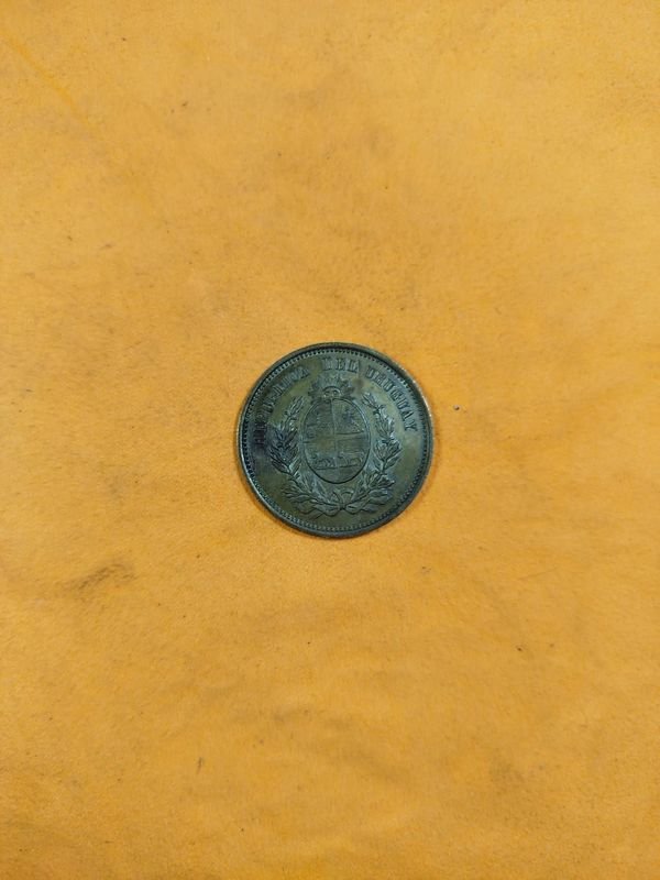 Item 856809 - Image 0