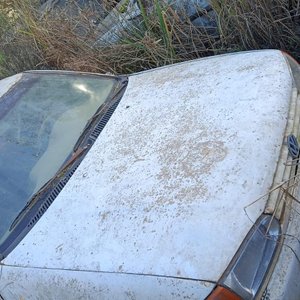 Lote siguiente: Auto Blanco Desgastado en Venta