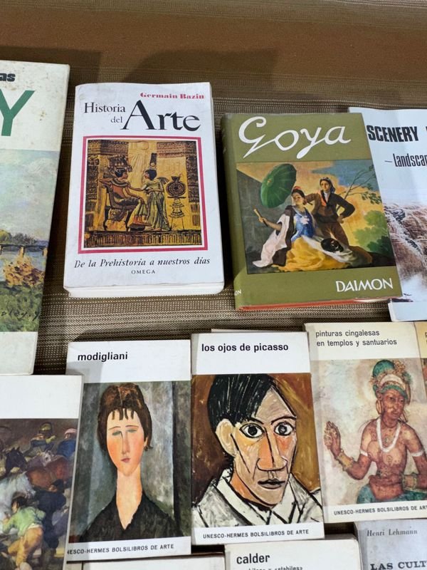 Libros y materiales de estudio en español - imagen 7