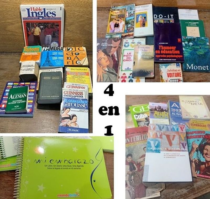 Lote de Libros Variados: Idiomas, Revistas y Más