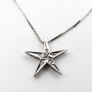Lote siguiente: Cadena Fina de Plata con Dije Estrella y Piedras