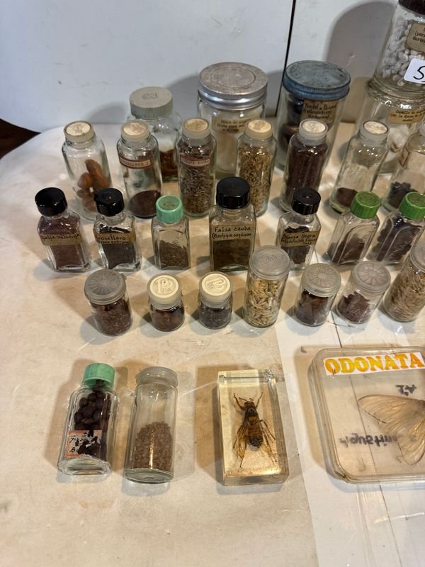 Item 851807 - Image 2