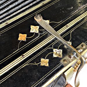 Bandoneón Alemán Alfred Arnold con Incrustaciones de Nácar y Peines de Zinc - imagen 6