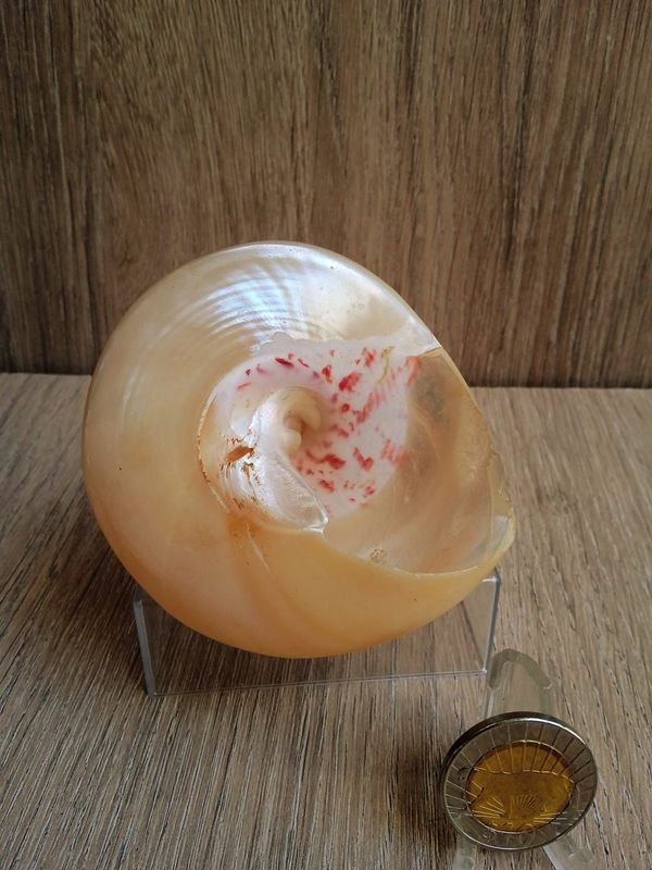 Item 884179 - Image 1