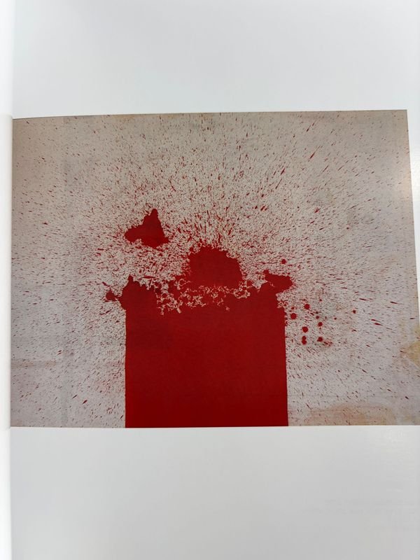 Arte contemporáneo uruguayo: Gustavo Tabares, Alicia Haber y otros - imagen 7