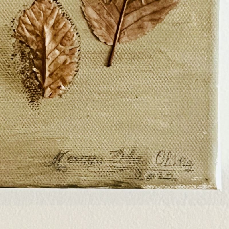 Item 895294 - Image 1