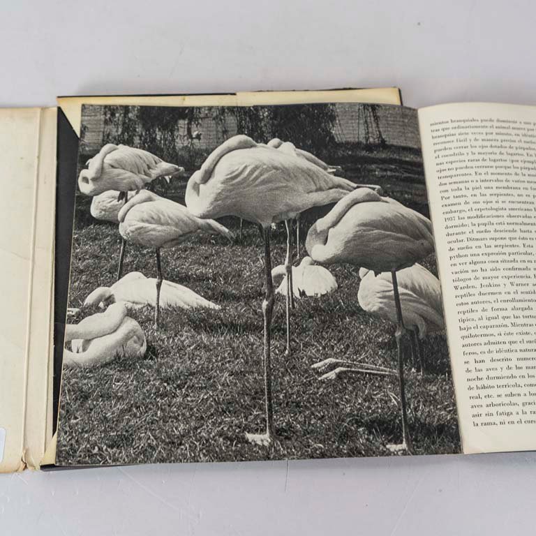 Item 2111753 - Image 1