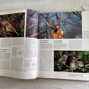Enciclopedia de los Animales - Volumen Cuarto - imagen 6