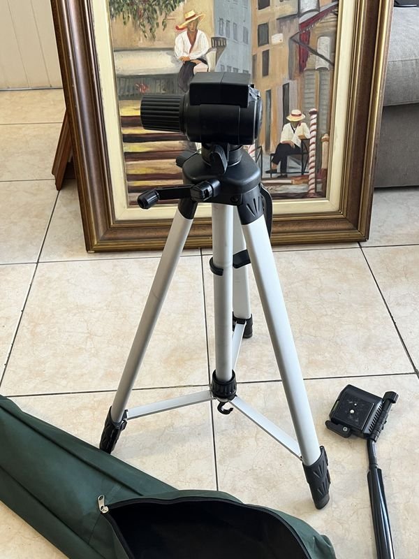 Item 878887 - Image 0