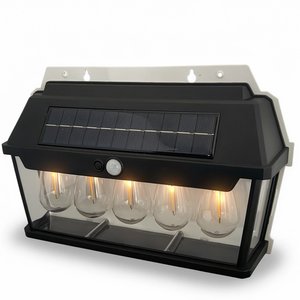 Lote anterior: Farol Solar LED Vintage Rectangular con 5 Luces y Sensor de Movimiento