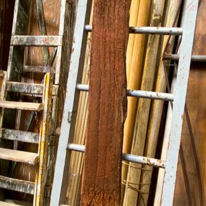 Viga Antigua de Madera Dura con Detalles y Desgaste - imagen 2