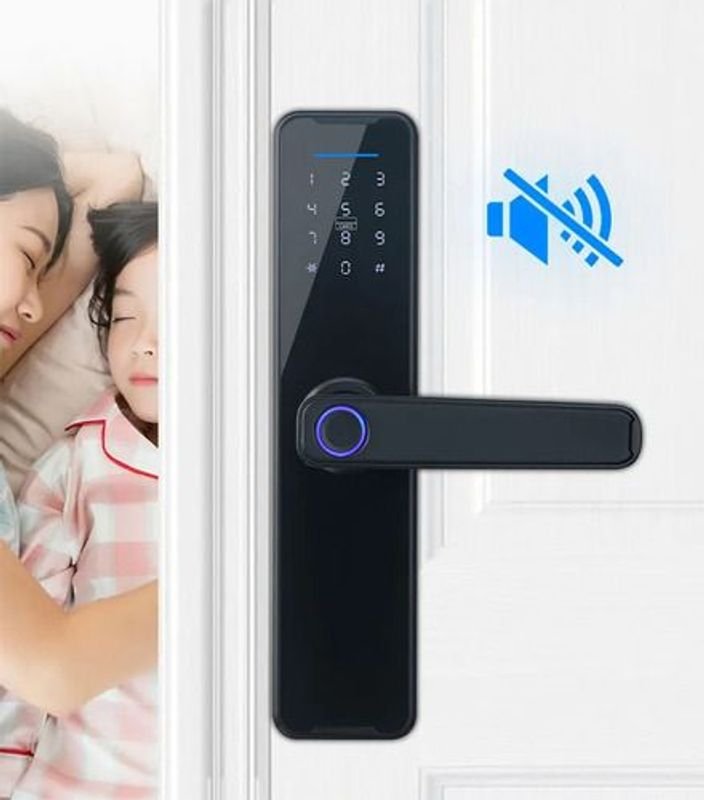 Puerta Digital con Cerradura y Teclado - imagen 2