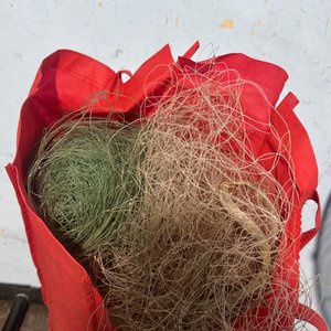 Lote anterior: Trasmallo de pesca con ovillos de hilo