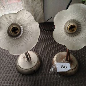 2 Plafones de Pared para Exteriores con Tulipán y Lámpara - imagen 1