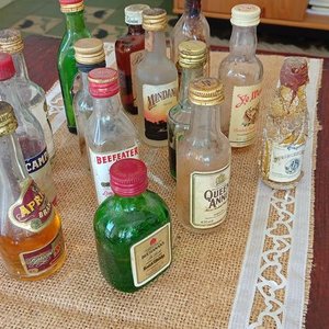 Lote de 14 Botellitas de Colección Varias Marcas - imagen 3