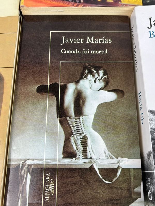 Colección de libros de Javier Marías - Novelas y ensayos - imagen 4