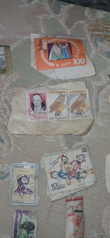 Item 880833 - Image 7