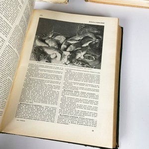 Tres Libros Antiguos: Larousse Gastronomique y Catálogo de Galería de Dresde - imagen 6