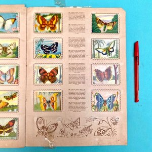 Álbum Antiguo de Figuritas "Animales de Todo el Mundo" - Editorial Fher - imagen 8