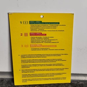 Pase Delegación Peñarol Copa Libertadores 2019 - imagen 2
