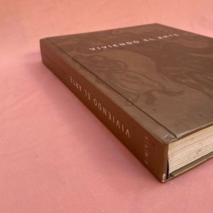 Libro de Arte "Viviendo el Arte desde el Coleccionismo" - Historia del Arte Uruguayo - imagen 3