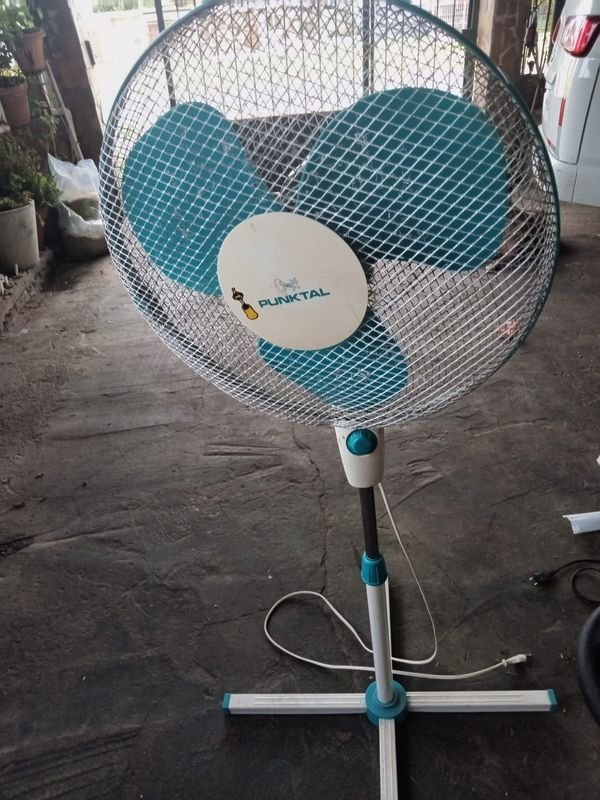 Item 852407 - Image 3