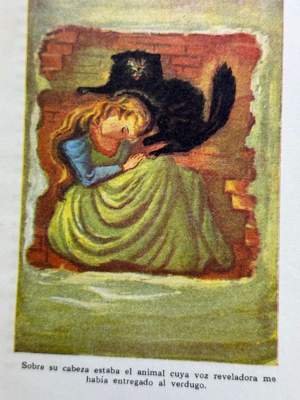 Colección de libros clásicos y biografías históricas - imagen 11