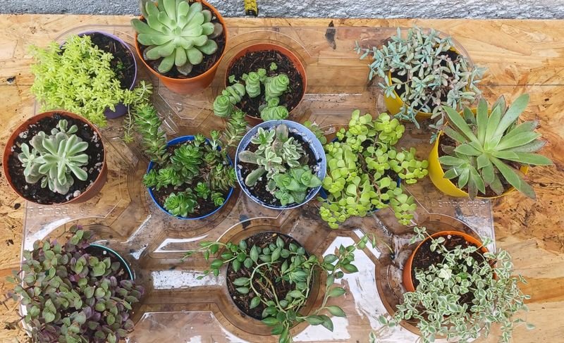 Item 929727 - Image 1