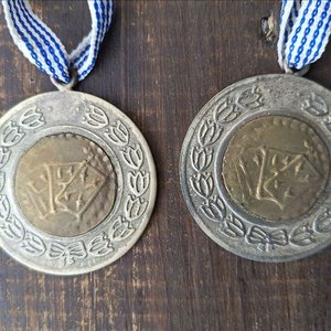 Trofeo Metálico con Asas de Dragón y Dos Medallas con Cintas - imagen 9