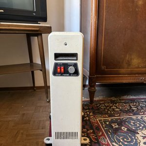 Calefactor Eléctrico Rotel Radiador con Termostato y Ruedas - imagen 1