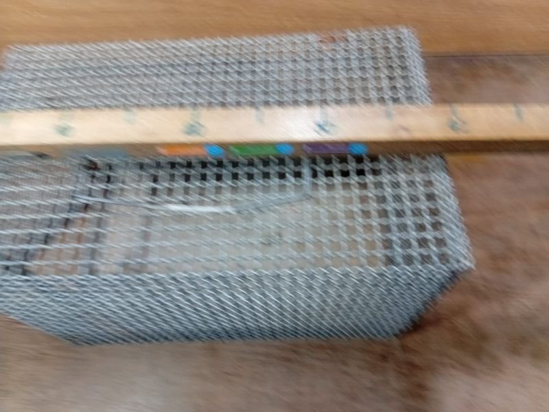 Jaula para gatos de alta calidad - imagen 2