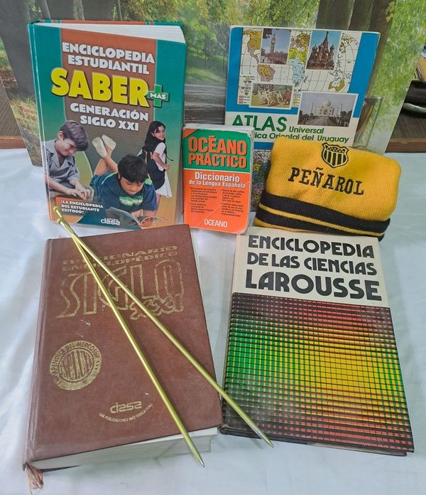 Colección de libros y accesorios en buen estado - imagen 1