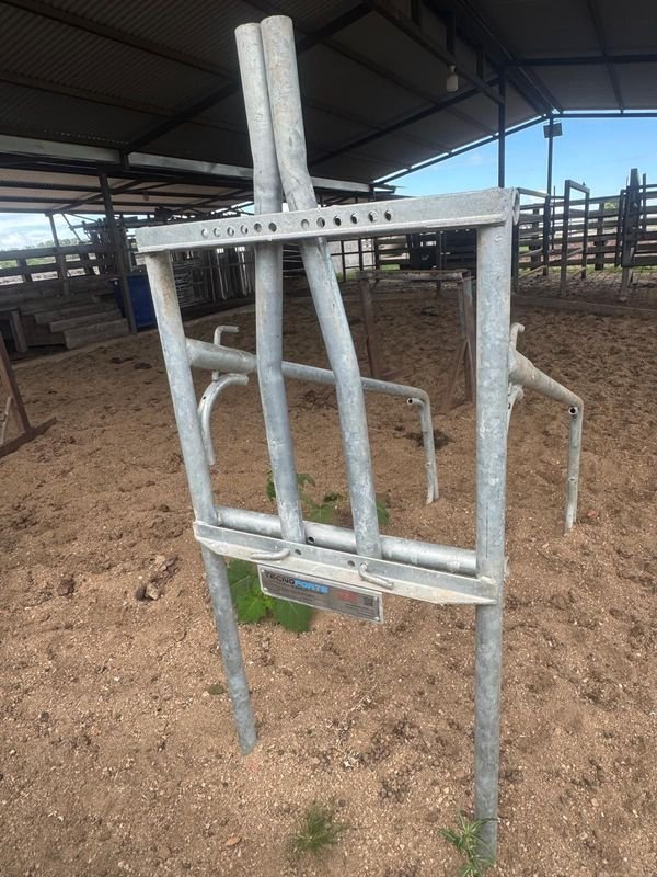 Estructuras para Prueba de Capacidad de Monta de Toros - imagen 1