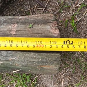 Dos tirantes Cilindrico de madera con Detalles de Uso Medidas: Largo 300 cm  x Diámtero 12 cm /  Tirante rectangular de madera Noble .Medidas: Largo 152 cm  x 9 cm x 15 cm - imagen 3