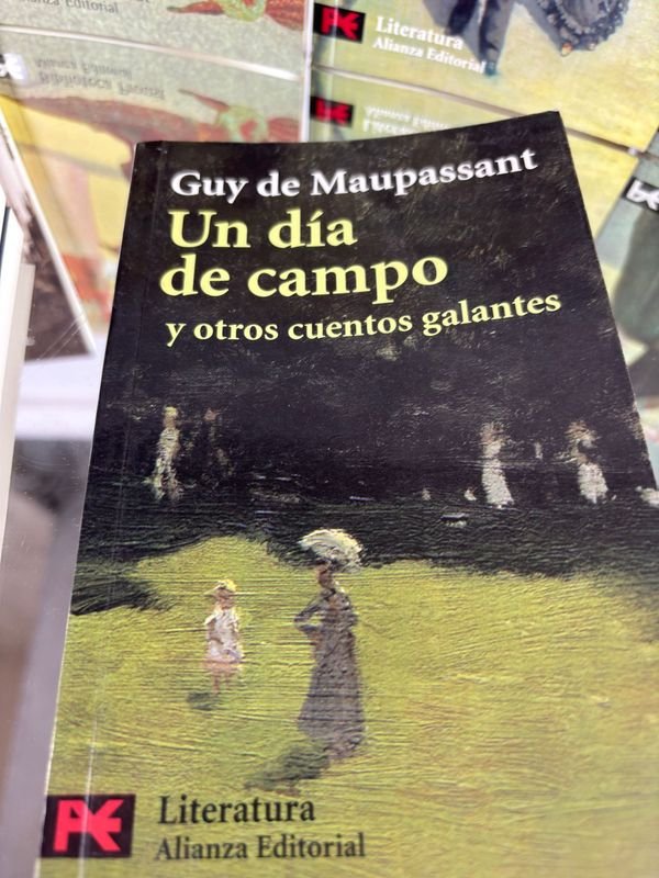 Colección de 9 libros clásicos universales en español - imagen 3