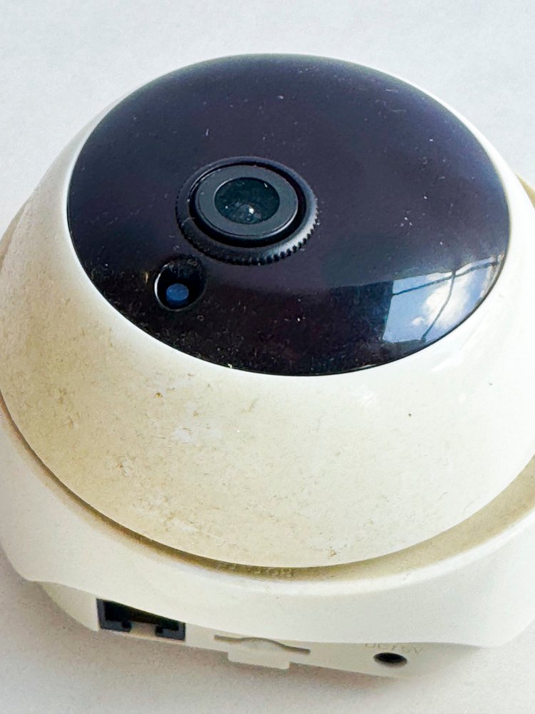 Item 496082 - Image 2